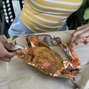 a woman holding a crab