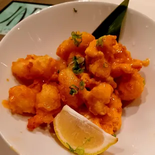 Rock Shrimp