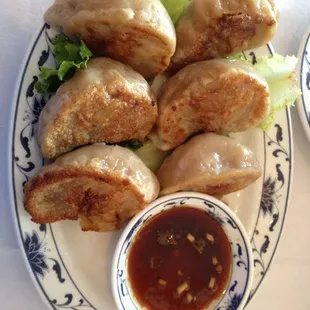 Fried Dumplings