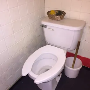 Any thoughts? I was thinking elementary school toilet with standard seat.
