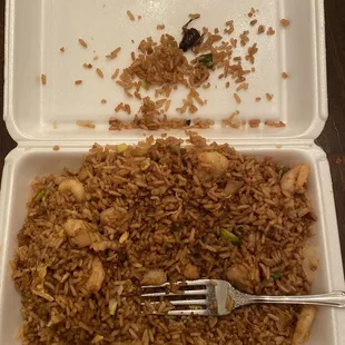 Rice with bug in the top.