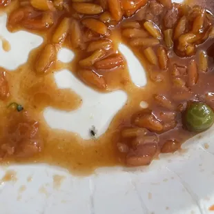 A bug w/ C6. Shrimp with Broccoli Special Combo Plate