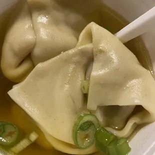 Wonton Soup