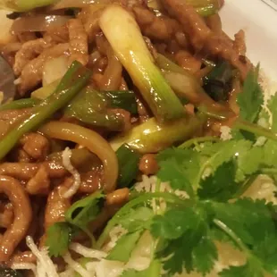 Mongolian Beef