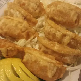 Fried Dumplings