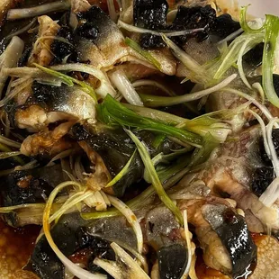 oysters and mussels, food, mussels, shellfish, oysters