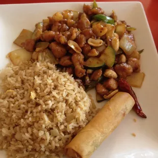 Kung Pao Chicken- delicious as always!