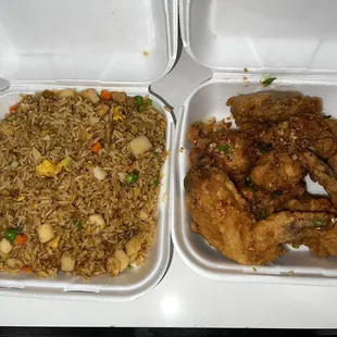 18. Chicken Fried Rice 10. Deep Fried Garlic Chicken Wings