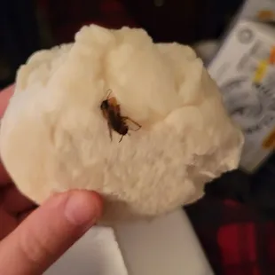 Ordered bbq pork buns and there was a cockroach  in the food