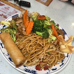 Broccoli beef dinner plate