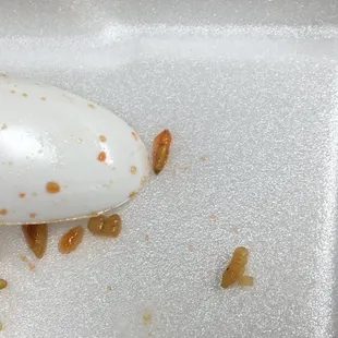 a spoon with food on it