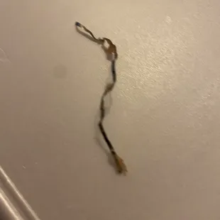 a broken toothbrush on the wall