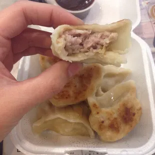 Super thick wrapper on these pot stickers. Not bad!