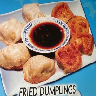 fried dumplings and dipping sauce