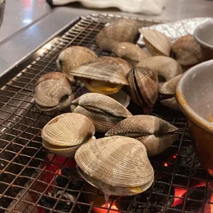 oysters, mussels, oysters and mussels, shellfish, food