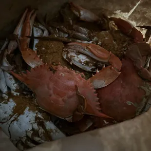Dozen Lg. crabs (steamed)