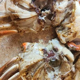 Terrible crabs!!! Old, soiled, and ammonia smell!!!