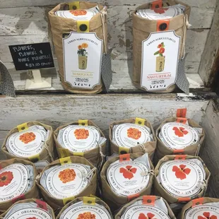 Grow your own flower kit!