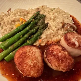 Morel Scallops