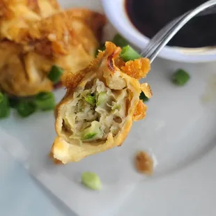 Fried Dumplings