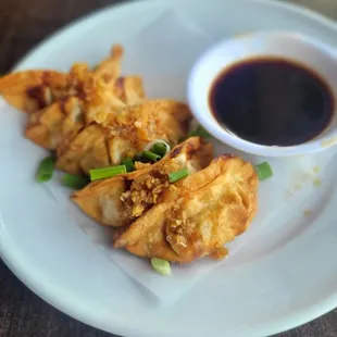 Fried Dumplings