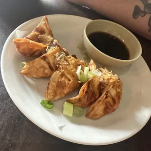 fried dumplings