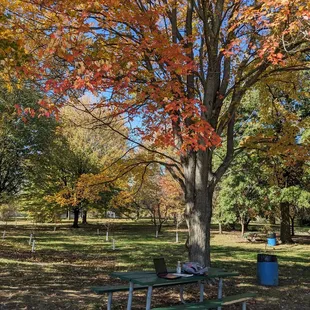 I know a lot of case managers who use the park because of its picnic tables.