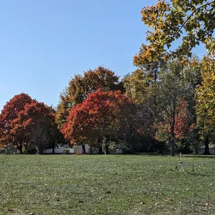 Lots of greenspace at Jake Greene Park