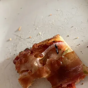 There was a decently sized bug baked into our pizza! How fun.