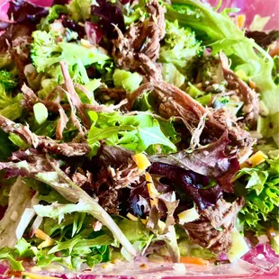 Salad-Lite with shredded beef.