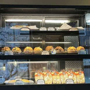 Display case 12.19.23