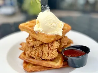 Mallards - Forest Lake