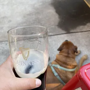 Dogs are allowed on the patio!!!!!! :)