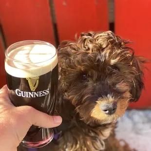 Guinness on the back patio