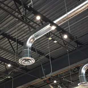 Bunch of bugs flying around indoors.