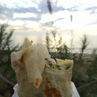 a hand holding a burrito