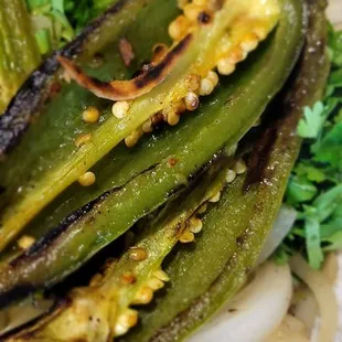 Onions  cilantro, grilled onions and jalapenos on the side