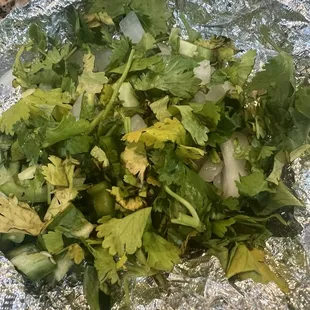 Cilantro was old and yellowish