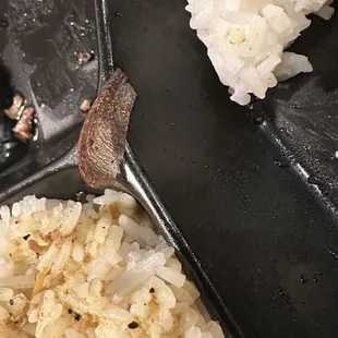 Halfway through eating my food I found this burnt roach wing in my jerk chicken  ....