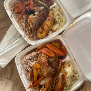 Jamaican food- Two Brown Stew Snapper Fish Meal