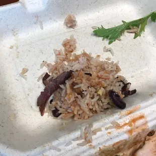 Just the rice I managed to scrape out of the rest of my meal, about less than half of what was in there.