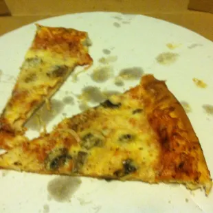 Mushroom and onion pizza. Ate most of it. It was pretty good.