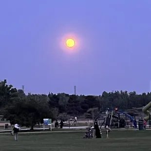 Strawberry   Moon!