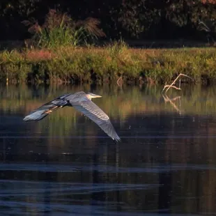 James A. Reed Memorial Wildlife Area