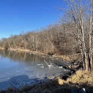 Frozen lake