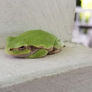 First friend that showed up.