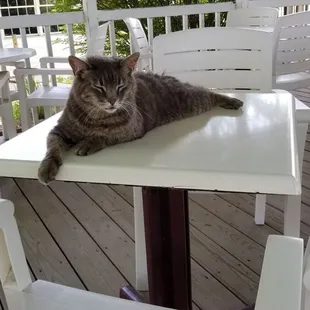 Second friend that showed up.