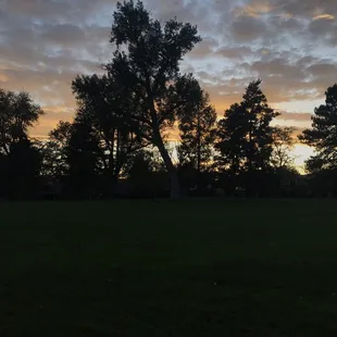 Looking west across the open grass.