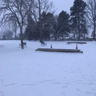 No horseshoes today!