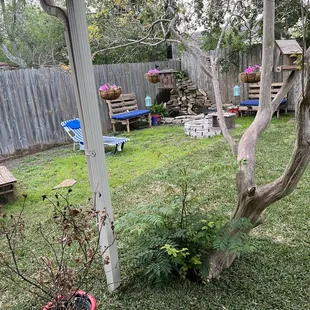 the back yard of a home